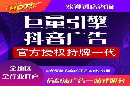 顶级SEM运营公司案例分析